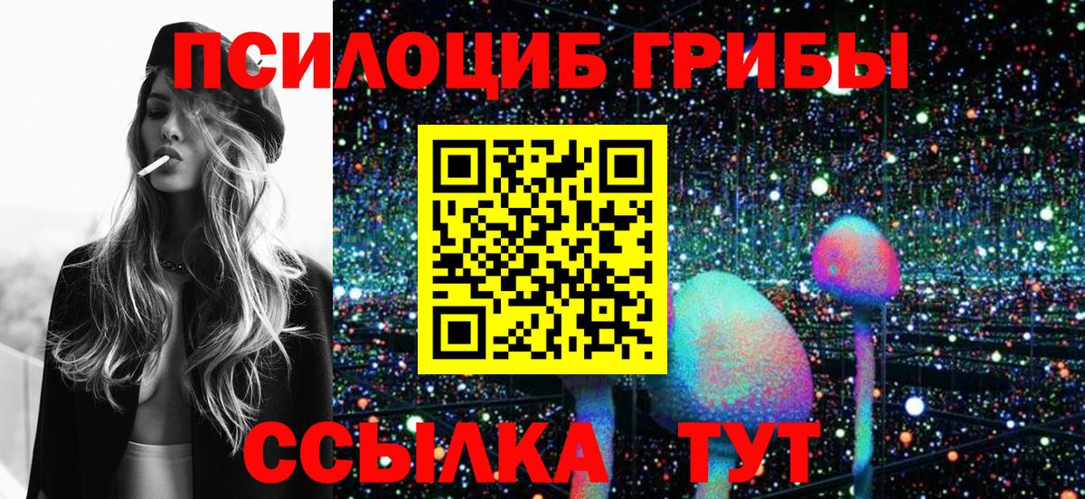 Элиста  Галлюциногенные грибы Psilocybine cubensis  Вход с VPN 