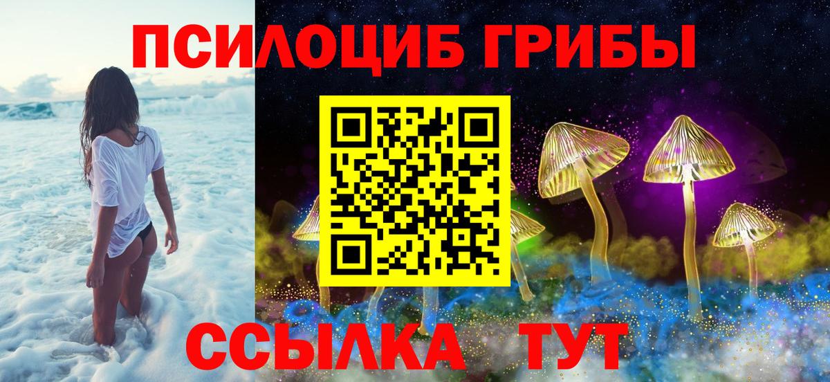 Псилоцибиновые грибы мицелий Элиста
